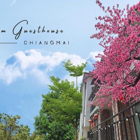 Bloom Guesthouse Chiang Mai Eksteriør bilde