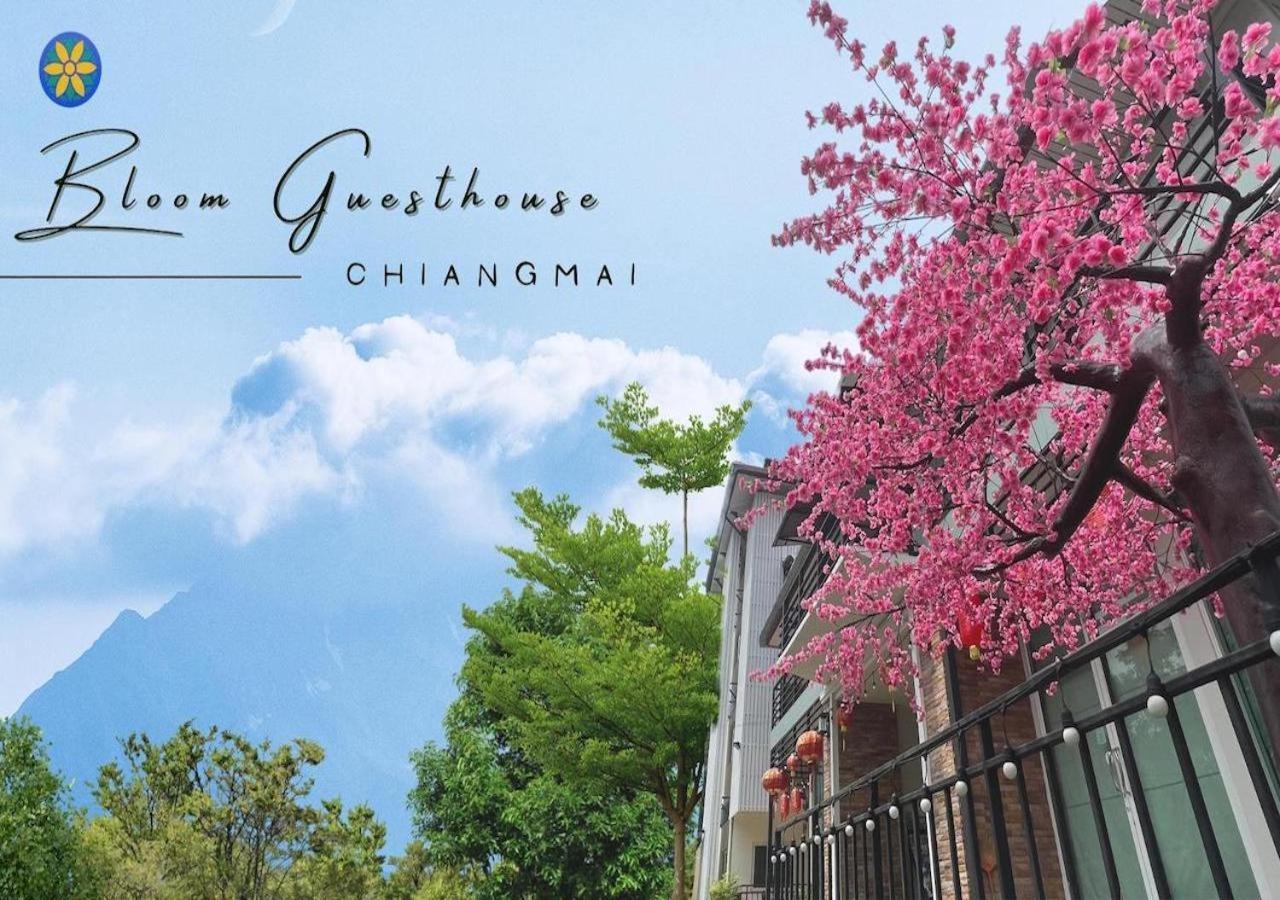 Bloom Guesthouse Chiang Mai Eksteriør bilde